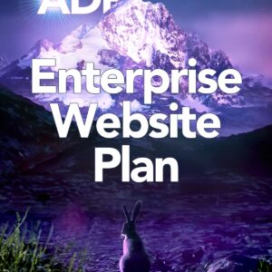 Website - Enterprise-Level Plan