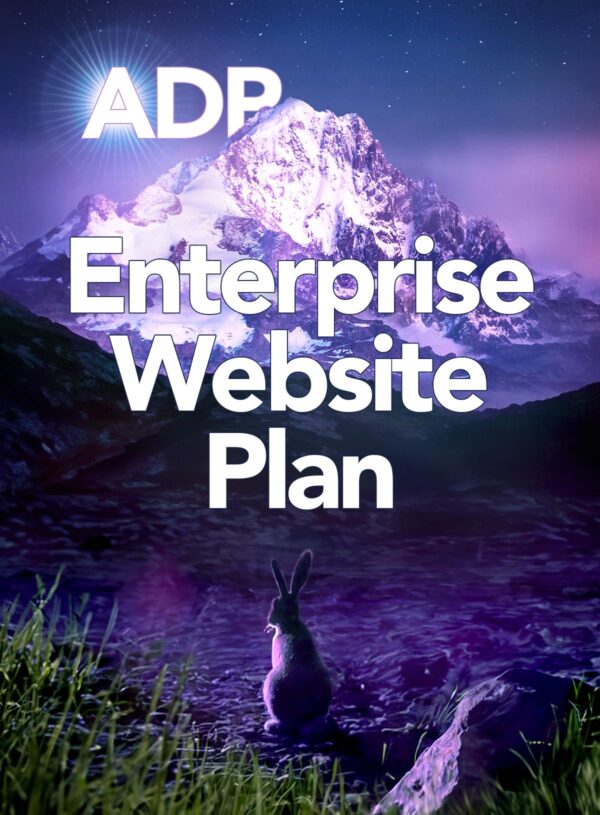 Website - Enterprise-Level Plan